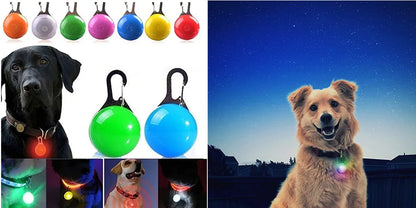 Ultra-Bright LED Collar – Weatherproof Night Safety for All Dogs