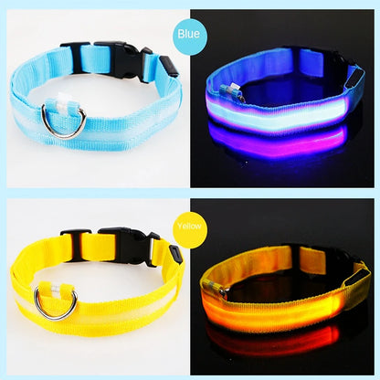 3-Mode LED Glow Safety Collar – USB Rechargeable & Weatherproof Loss Prevention