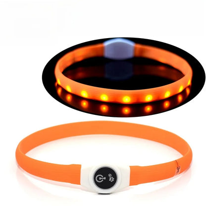 Ultra-Bright LED Collar – Weatherproof Night Safety for All Dogs