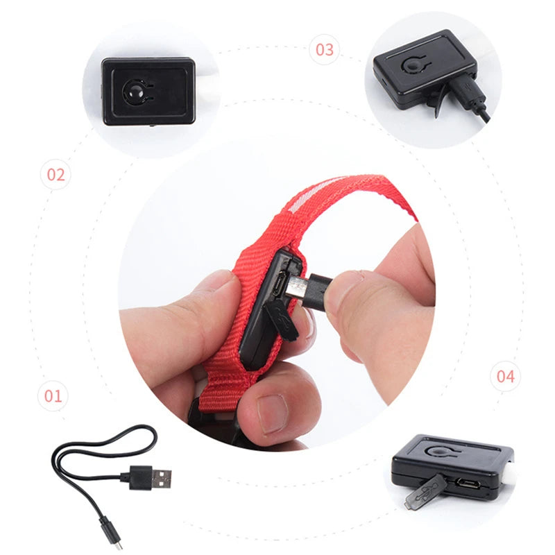 3-Mode LED Glow Safety Collar – USB Rechargeable & Weatherproof Loss Prevention