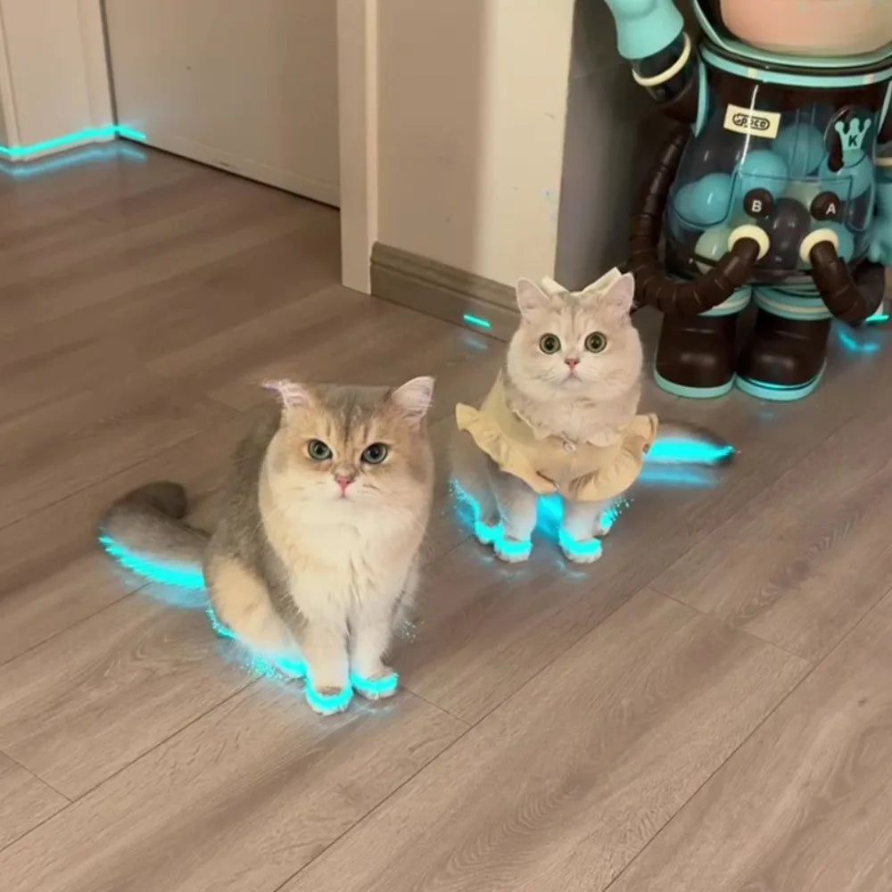 Cat luminous stickers adhesive tape night home indoor outdoor self  luminous fluorescent strips Stair warning tape DIY stage