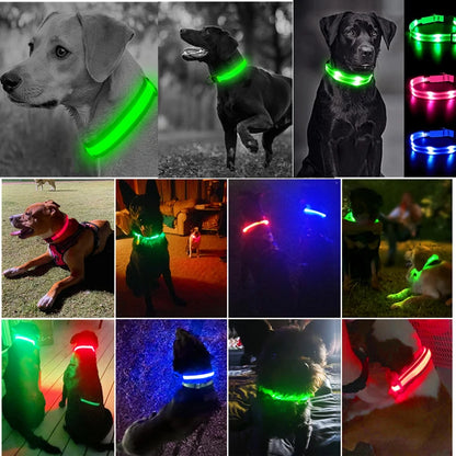 3-Mode LED Glow Safety Collar – USB Rechargeable & Weatherproof Loss Prevention