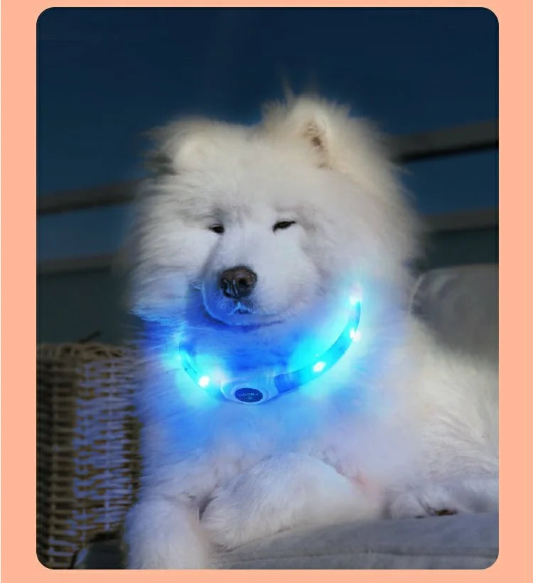 Ultra-Bright LED Collar – Weatherproof Night Safety for All Dogs