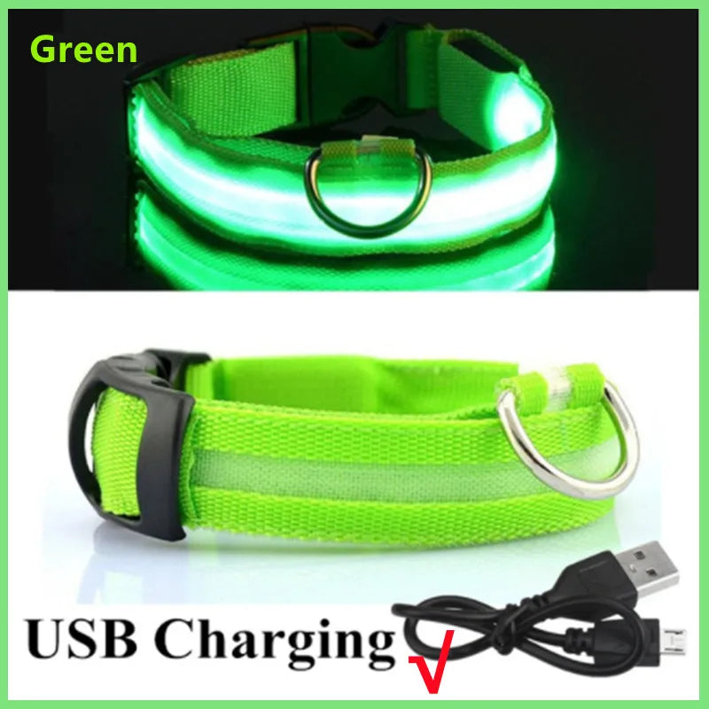 3-Mode LED Glow Safety Collar – USB Rechargeable & Weatherproof Loss Prevention
