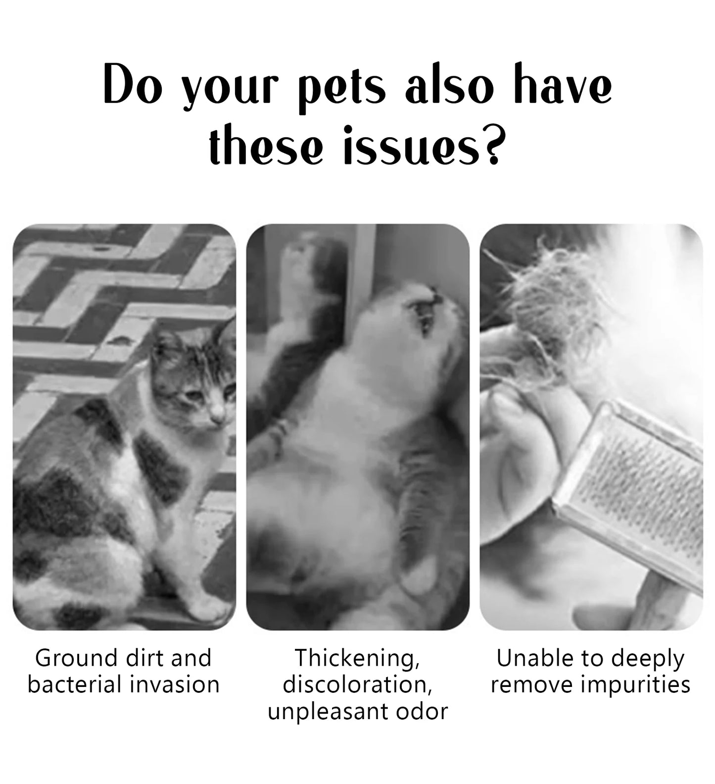 SafeSteam 3-in-1 Pet Brush – Gentle Hair Removal for Cats & Dogs