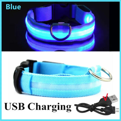 3-Mode LED Glow Safety Collar – USB Rechargeable & Weatherproof Loss Prevention