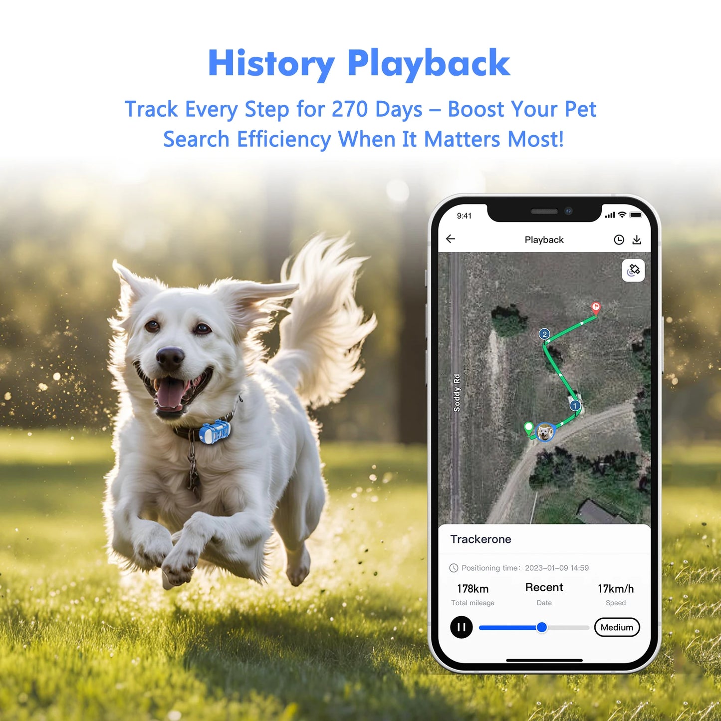 ‌4G Dog Cat GPS Tracker for Pets - Waterproof Smart Locator with App, Live Tracking & Light/Sound