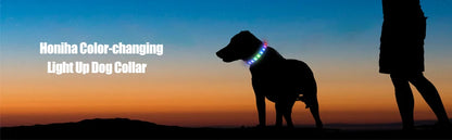 Ultra-Bright LED Collar – Weatherproof Night Safety for All Dogs