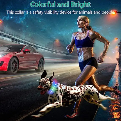 Ultra-Bright LED Collar – Weatherproof Night Safety for All Dogs