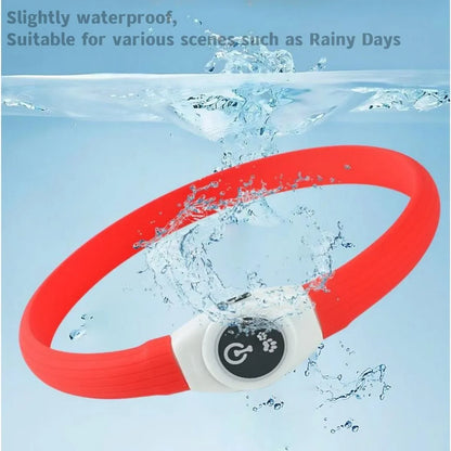 Ultra-Bright LED Collar – Weatherproof Night Safety for All Dogs