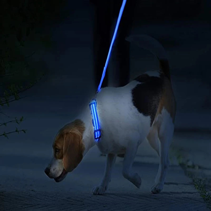 3-Mode LED Glow Safety Collar – USB Rechargeable & Weatherproof Loss Prevention