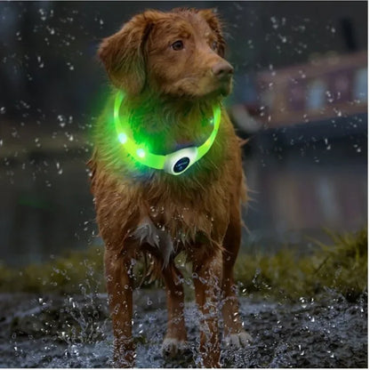 Ultra-Bright LED Collar – Weatherproof Night Safety for All Dogs