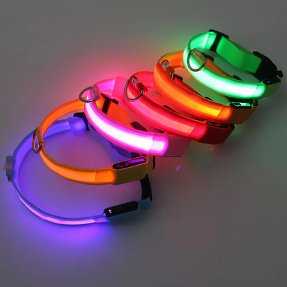3-Mode LED Glow Safety Collar – USB Rechargeable & Weatherproof Loss Prevention