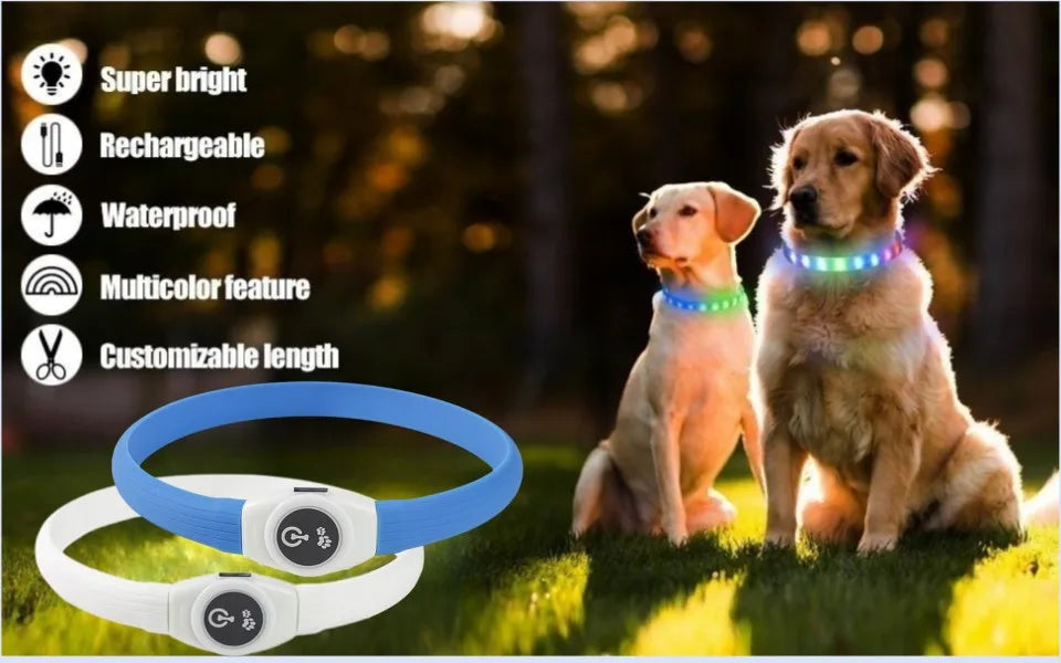 Ultra-Bright LED Collar – Weatherproof Night Safety for All Dogs