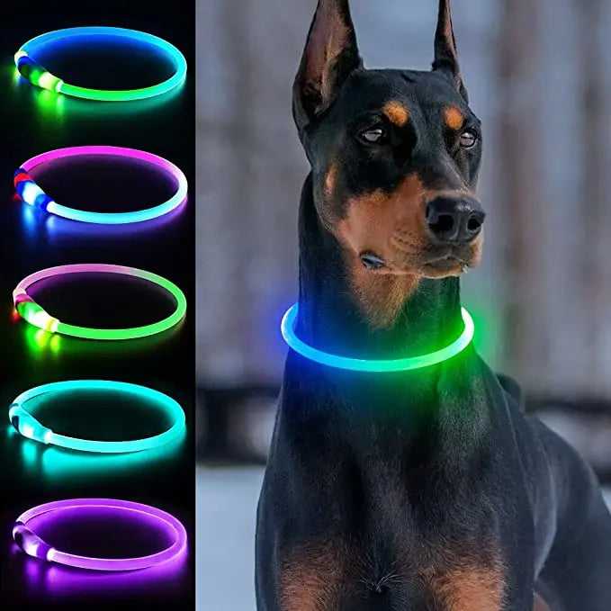 Ultra-Bright LED Collar – Weatherproof Night Safety for All Dogs