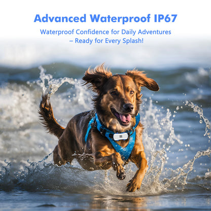 ‌4G Dog Cat GPS Tracker for Pets - Waterproof Smart Locator with App, Live Tracking & Light/Sound