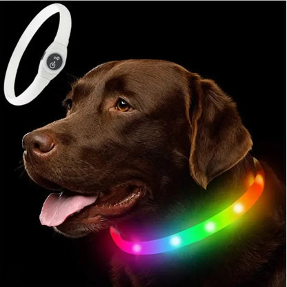 Ultra-Bright LED Collar – Weatherproof Night Safety for All Dogs