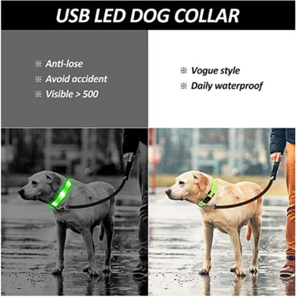 3-Mode LED Glow Safety Collar – USB Rechargeable & Weatherproof Loss Prevention
