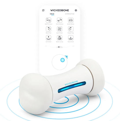 Pet Toy Smart Dog Toy Dog Chew Bone