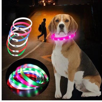 Ultra-Bright LED Collar – Weatherproof Night Safety for All Dogs