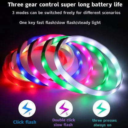Ultra-Bright LED Collar – Weatherproof Night Safety for All Dogs