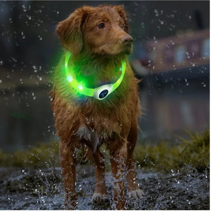 Ultra-Bright LED Collar – Weatherproof Night Safety for All Dogs
