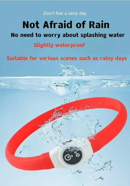 Ultra-Bright LED Collar – Weatherproof Night Safety for All Dogs