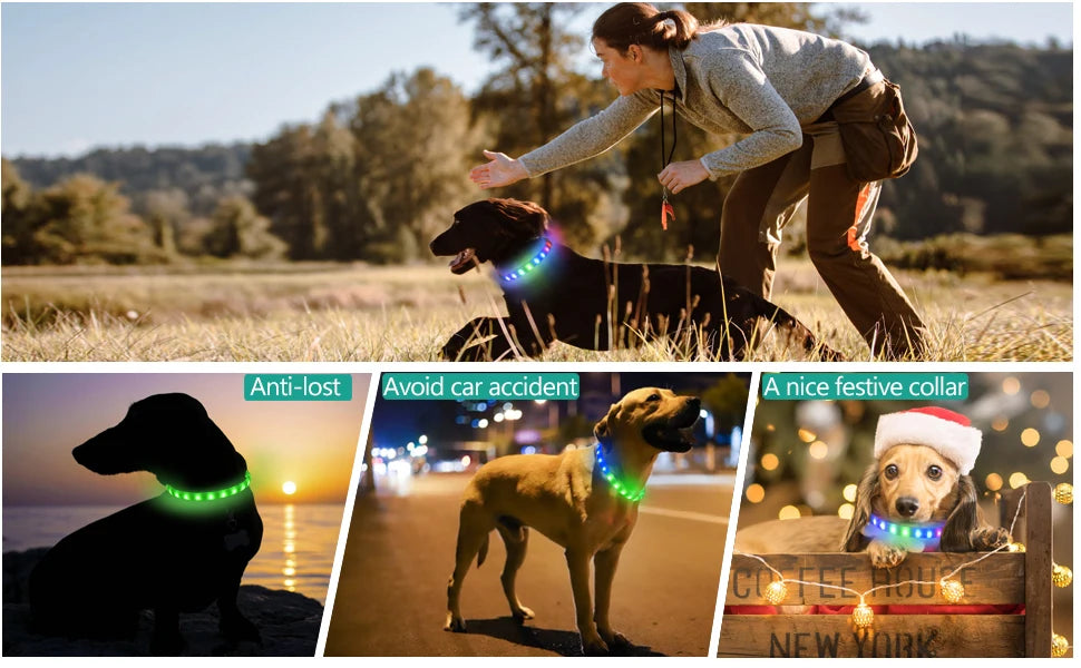 Ultra-Bright LED Collar – Weatherproof Night Safety for All Dogs