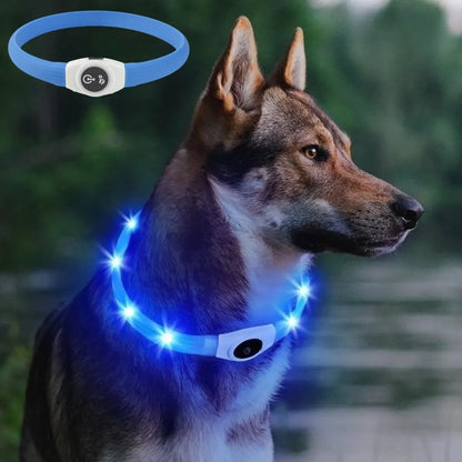 Ultra-Bright LED Collar – Weatherproof Night Safety for All Dogs