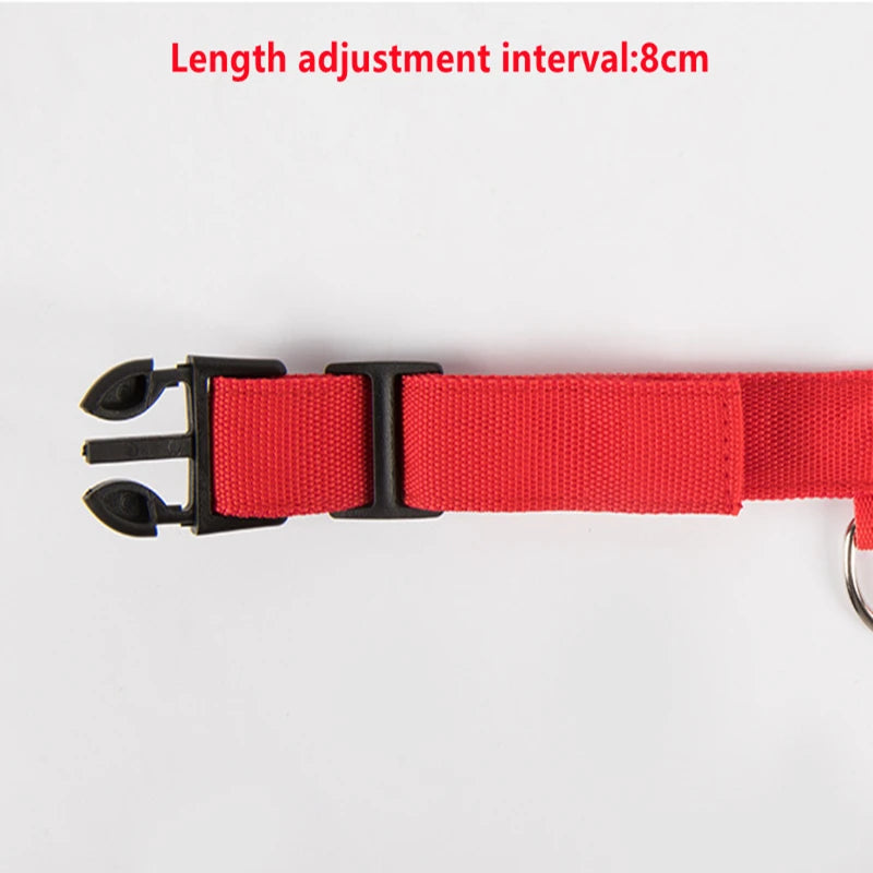 3-Mode LED Glow Safety Collar – USB Rechargeable & Weatherproof Loss Prevention