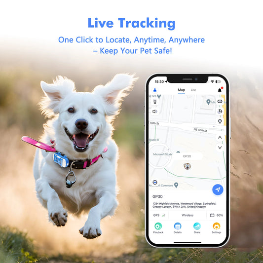 4G Dog Cat GPS Tracker for Pets - Waterproof Smart Locator with App, Live Tracking & Light/Sound