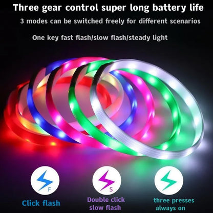 Ultra-Bright LED Collar – Weatherproof Night Safety for All Dogs
