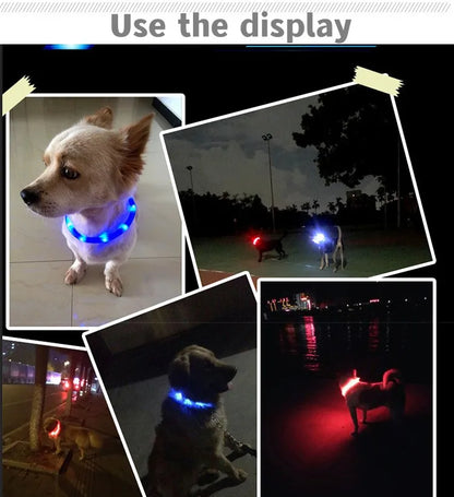 Ultra-Bright LED Collar – Weatherproof Night Safety for All Dogs