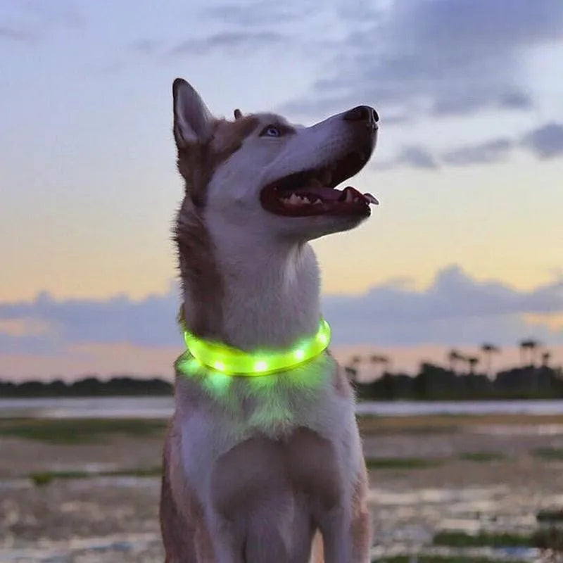 Ultra-Bright LED Collar – Weatherproof Night Safety for All Dogs